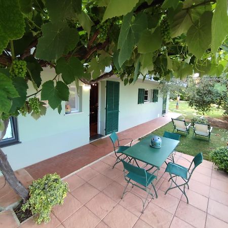 Independent Apartment With A Fabulous Patio - Casa Penny Cisano sul Neva Εξωτερικό φωτογραφία